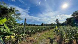 Land for sale in Mae Faek, Chiang Mai