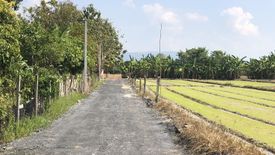 Land for sale in San Pong, Chiang Mai