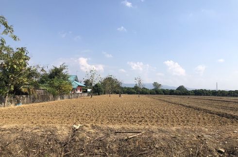 Land for sale in San Pong, Chiang Mai