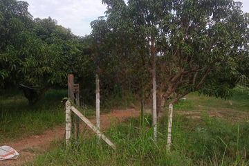 Land for sale in Pak Nam Pran, Prachuap Khiri Khan