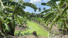 Land for sale in Yai Cha, Nakhon Pathom