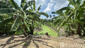 Land for sale in Yai Cha, Nakhon Pathom