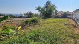 Land for sale in Bua Sali, Chiang Rai