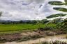 Land for sale in Bua Sali, Chiang Rai