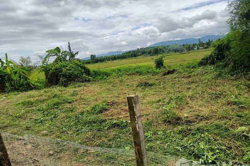 Land for sale in Bua Sali, Chiang Rai