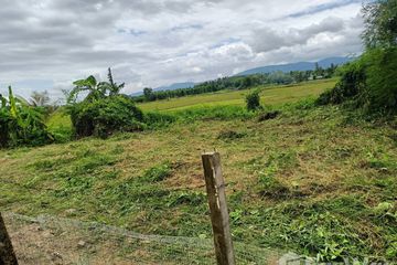 Land for sale in Bua Sali, Chiang Rai