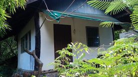 24 Bedroom House for sale in Sai Khao, Chiang Rai