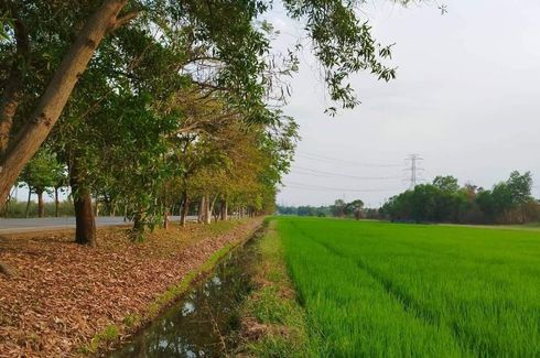 Land for sale in Wang Chula, Phra Nakhon Si Ayutthaya