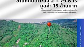 Land for sale in Ko Yo, Songkhla