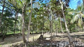 Land for sale in Ban Tai, Surat Thani