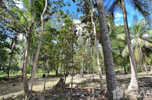 Land for sale in Ban Tai, Surat Thani