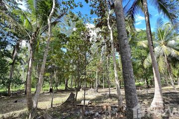 Land for sale in Ban Tai, Surat Thani