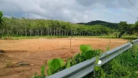 Land for sale in Mai Khao, Phuket