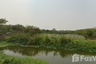 Land for sale in Hom Sin, Chachoengsao