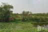 Land for sale in Hom Sin, Chachoengsao