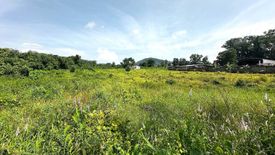 Land for sale in Si Sunthon, Phuket
