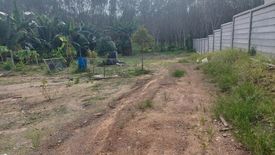 Land for sale in Si Sunthon, Phuket