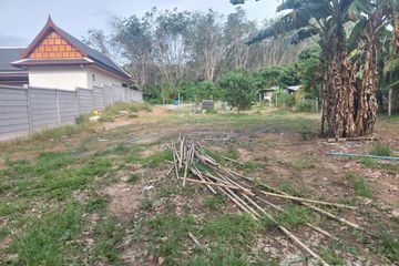 Land for sale in Si Sunthon, Phuket