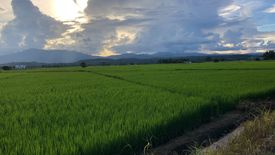 Land for sale in Mae Raem, Chiang Mai