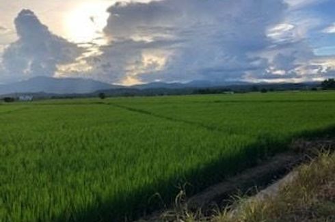 Land for sale in Mae Raem, Chiang Mai