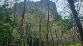 Land for sale in Nong Thale, Krabi