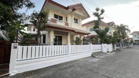 3 Bedroom House for rent in Ban Du, Chiang Rai