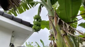 Land for sale in Khok Kloi, Phang Nga