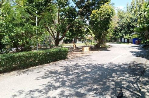 Land for sale in Talat Yai, Phuket