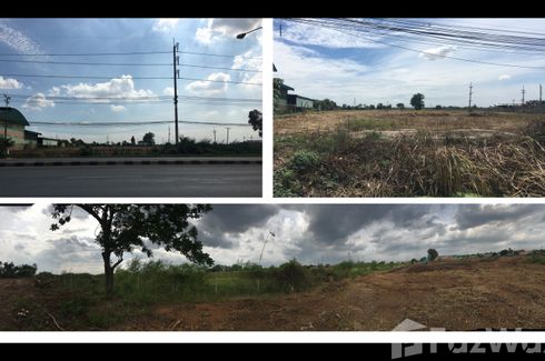 Land for sale in Lam Ta Sao, Phra Nakhon Si Ayutthaya