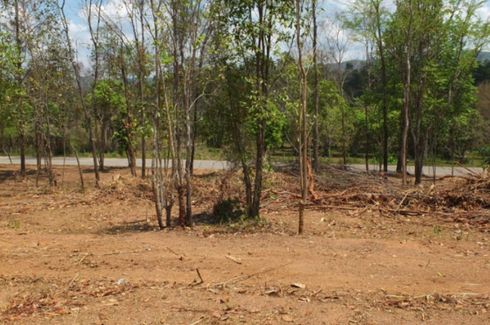Land for sale in Huai Kaeo, Chiang Mai
