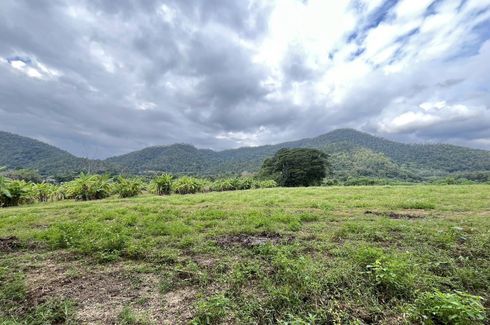 Land for sale in Samoeng Tai, Chiang Mai