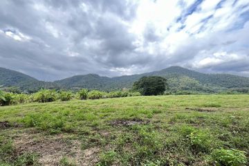 Land for sale in Samoeng Tai, Chiang Mai