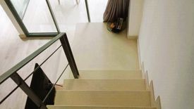 2 Bedroom Condo for rent in Ideo Mobi Sukhumvit 81, Bang Chak, Bangkok near BTS On Nut