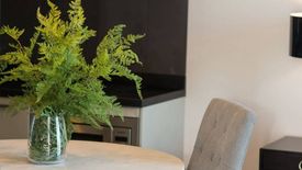 1 Bedroom Condo for rent in Quattro by Sansiri, Khlong Tan Nuea, Bangkok near BTS Thong Lo