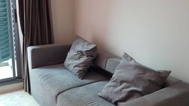 1 Bedroom Condo for rent in The Crest Sukhumvit 34, Khlong Tan, Bangkok near BTS Thong Lo