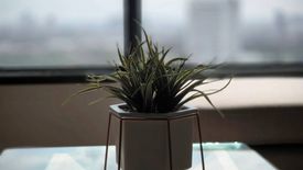 1 Bedroom Condo for rent in Life Ladprao Valley, Chom Phon, Bangkok near BTS Ladphrao Intersection