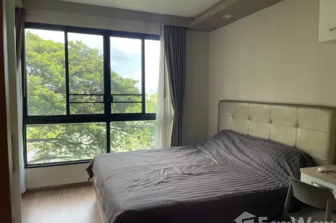 Condo for rent in The Treasure, Nong Pa Khrang, Chiang Mai