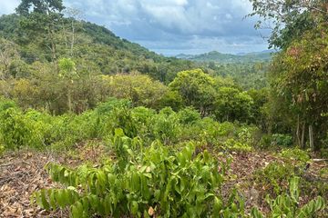 Land for sale in Taling Ngam, Surat Thani