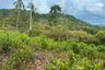 Land for sale in Taling Ngam, Surat Thani