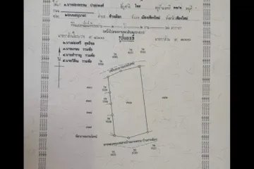 Land for sale in Ton Thong, Lamphun