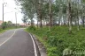 Land for sale in Si Sunthon, Phuket