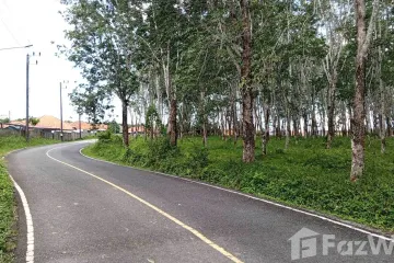 Land for sale in Si Sunthon, Phuket