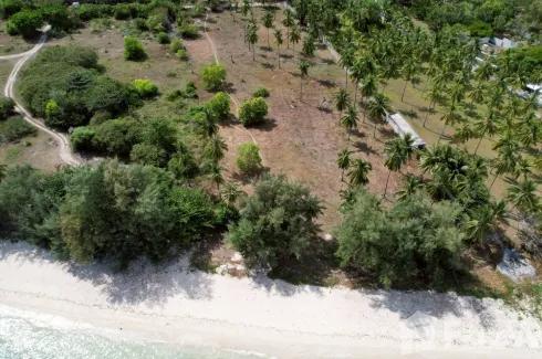 Land for sale in Maret, Surat Thani