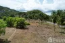 Land for sale in Maret, Surat Thani