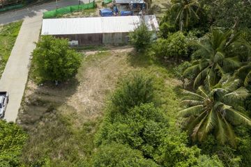 Land for sale in Mae Nam, Surat Thani
