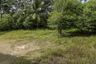 Land for sale in Mae Nam, Surat Thani