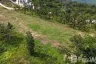 Land for sale in Mae Nam, Surat Thani