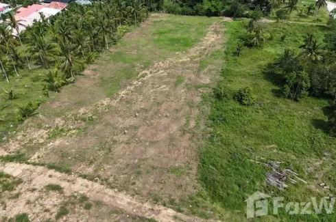 Land for sale in Mae Nam, Surat Thani