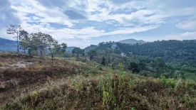 Land for sale in Taling Ngam, Surat Thani