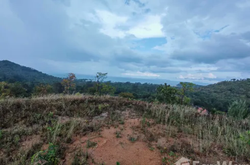 Land for sale in Taling Ngam, Surat Thani